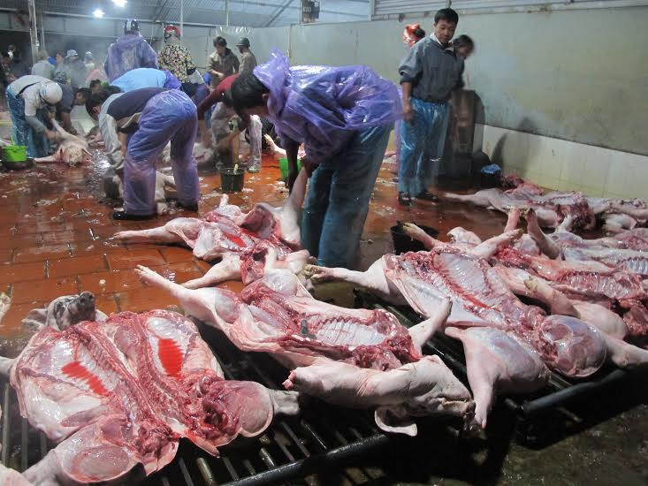 Bộ NN&PTNT xác định năm 2016, vấn đề an toàn thực phẩm và chất lượng vật tư nông nghiệp là nhiệm vụ số một của ngành.