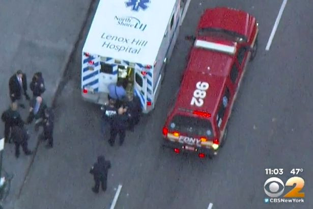 Hsu Chen bị cảnh sát bắt giữ 