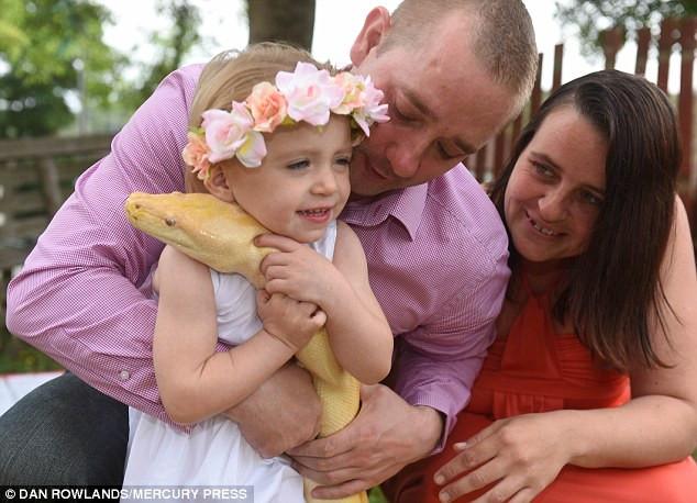 Rợn tóc gáy nhìn bé gái 2 tuổi... âu yếm trăn khổng lồ