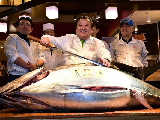 Ông Kimura với con cá ngừ vây xanh thắng cuộc