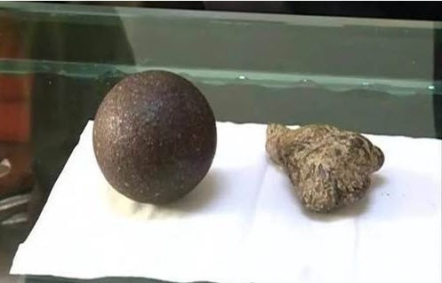 Phát tài vì tìm thấy 'thần dược' trong bụng cừu