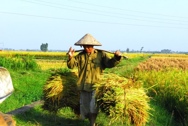 Ảnh mang tính minh họa