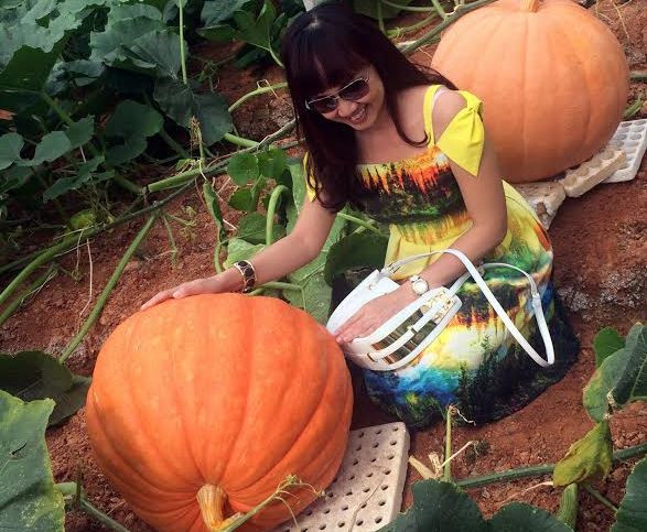 Du khách chụp ảnh lưu niệm cùng bí ngô khổng lồ