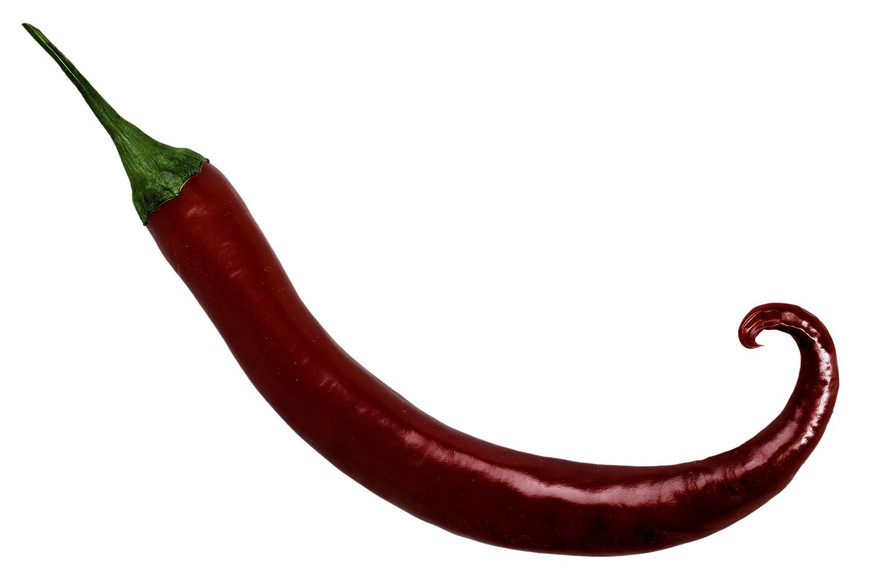 Cận cảnh loại ớt Carolina Reaper cay nhất thế giới.