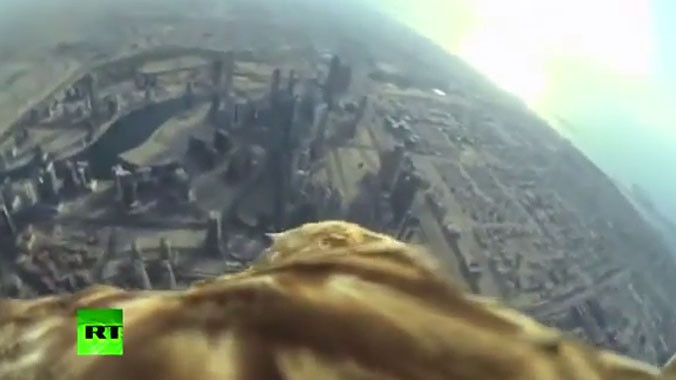 Ngắm thành phố Dubai trên cánh đại bàng