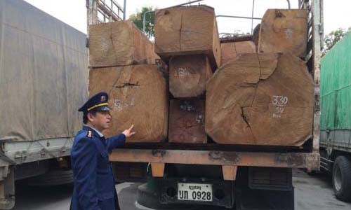 Xe Lào chở gỗ quá tải trọng qua biên giới vào Việt Nam. Ảnh:Xuân Hoa/ VnExpress