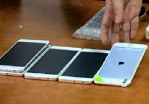 Số tang vật bị phát hiện