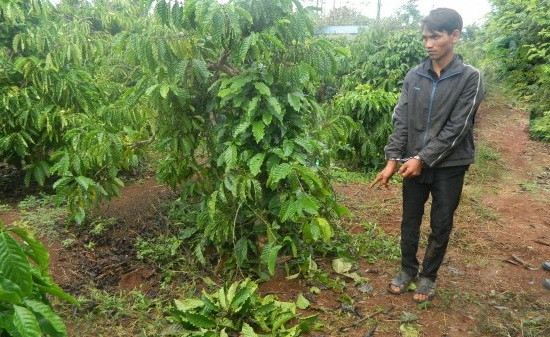 Y Răk Niê tại hiện trường nơi xảy ra vụ hiếp dâm