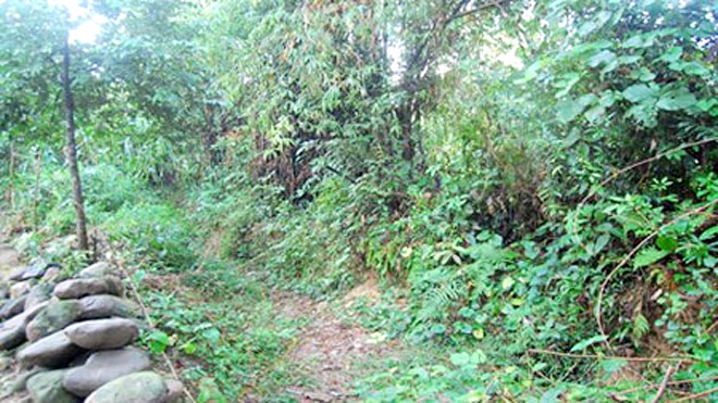 Hiện trường vụ án