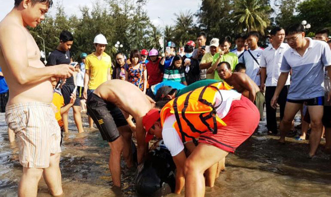Cá heo dạt vào bãi biển Quy Nhơn.