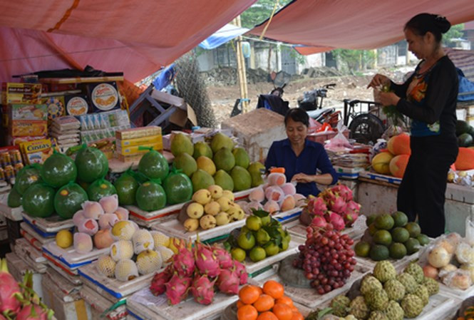 Hà Nội: 2 cửa hàng hoa quả đầu tiên được gắn logo sạch