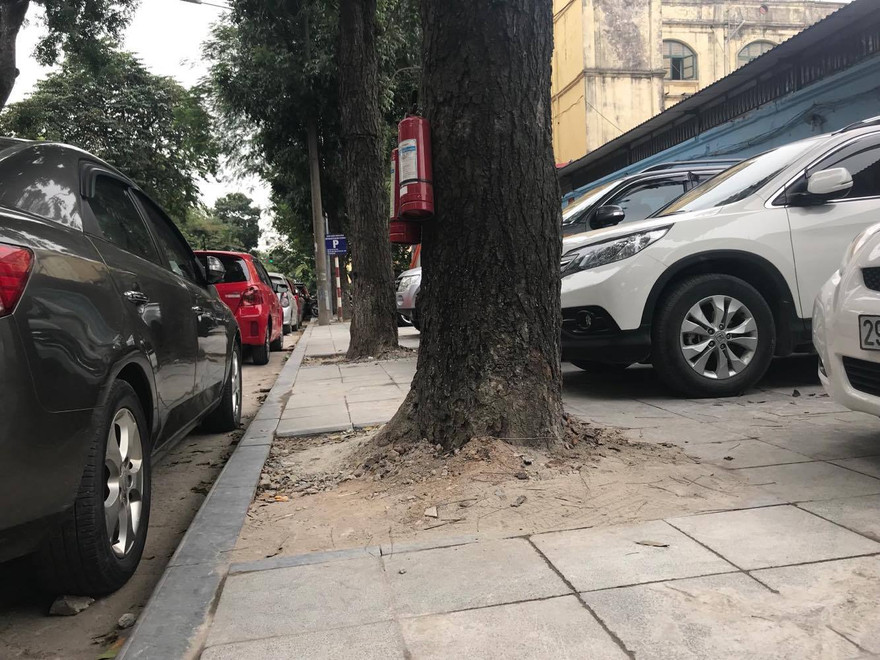 Bạn đọc phản đối lát vỉa hè theo phong trào