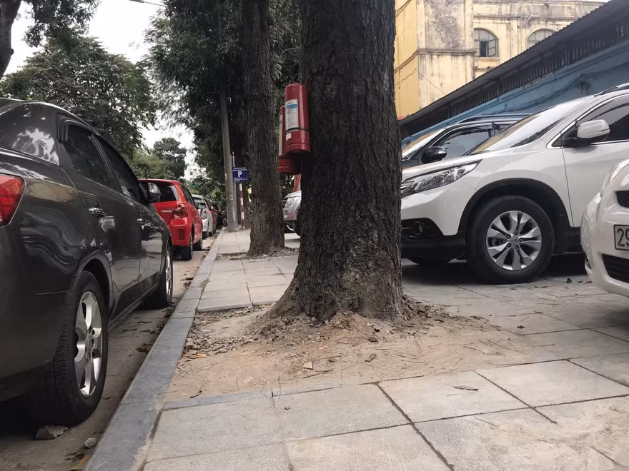 Bạn đọc phản đối lát vỉa hè theo phong trào