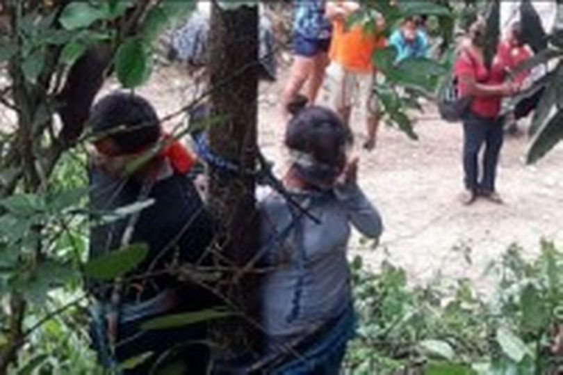 Ba mẹ con bị dân làng trói cây đầy kiến độc vì nghi ăn trộm xe.