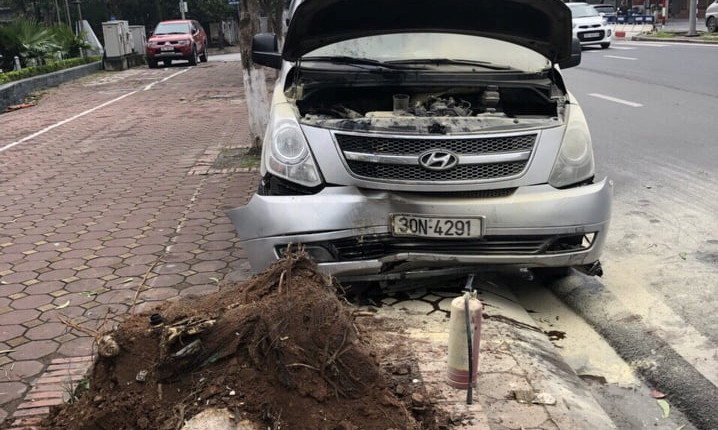 Hiện trường vụ ô tô đâm cây bật gốc.