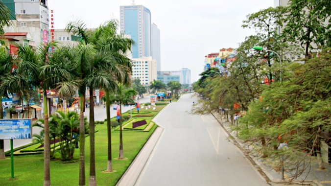 25 cây xanh sâu mục sẽ bị chặt hạ