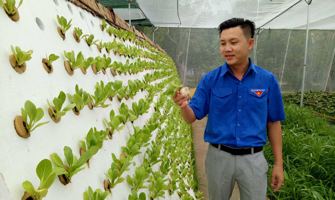 ​Mô hình thanh niên khởi nghiệp trồng rau sạch bằng công nghệ cao ở Sóc Trăng. Ảnh: Hòa Hội.