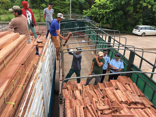 Việt Nam đang đứng đầu Đông Nam Á, thứ 5 thế giới về xuất khẩu gỗ và lâm sản