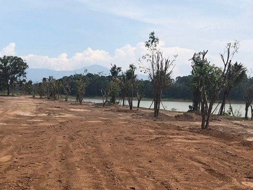 Dự án Resort Spa Cây Bồ Đề của Cty CP Thương mại Đồng Mô được chủ đầu tư san lấp trồng cây 