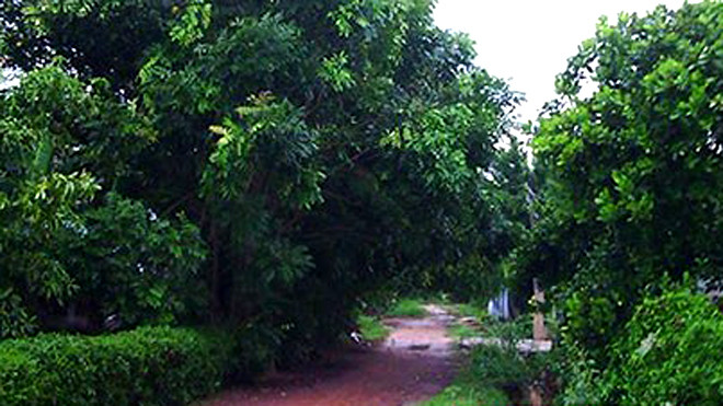 Lô cao su chị Hương tự thiêu cùng con gái