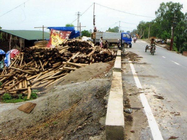 Hà Nội: Quyết liệt xử lý các trường hợp xâm phạm đê điều