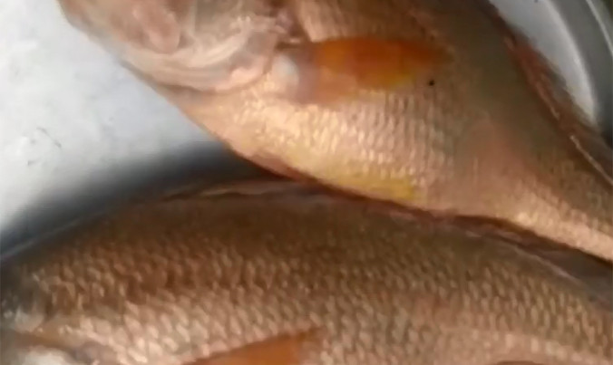 Ảnh chụp màn hình.