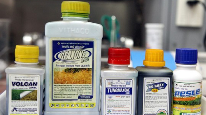 Paraquat là hóa chất cực độc (người dân gọi là “thuốc cỏ cháy”). Nhằm cố gắng làm giảm tỷ lệ tử vong, nhiều nước trên thế giới đã cấm sử dụng Paraquat, các nước còn lại quản lý sử dụng Paraquat rất chặt chẽ