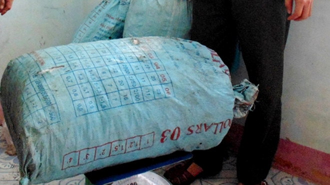 Số gỗ huê bi kiểm lâm thu giữ trước đó