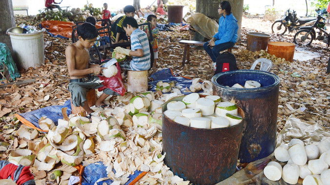 Xóm dừa chân cầu Bình Triệu 