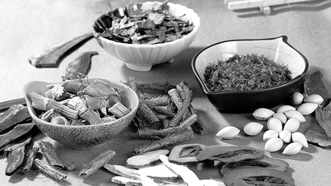 Đông dược trong điều trị thiếu máu não