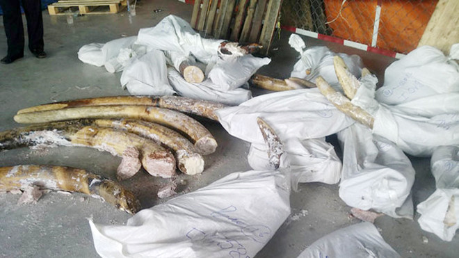 Tang vật liên quan vụ án bị thu giữ