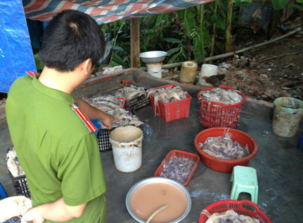 Hàng trăm kg mực thối tại xưởng chế biến của bà Lan vừa bị cơ quan chức năng bắt giữ.