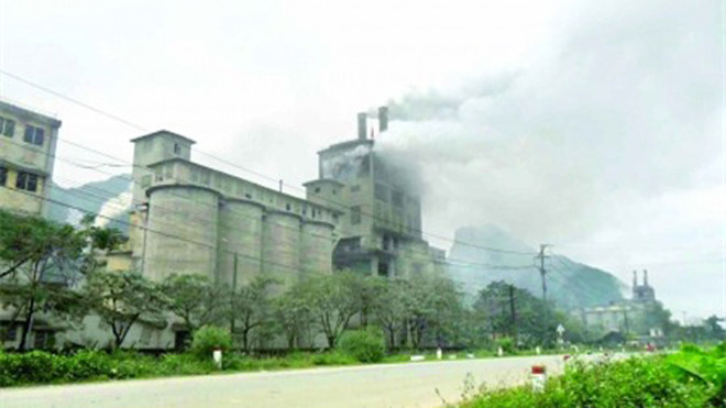Nhà máy xi măng vẫn hoạt động còn lao động bị nợ bảo hiểm