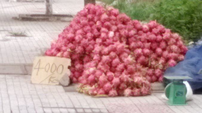 Ồ ạt trồng, thanh long rớt giá thảm