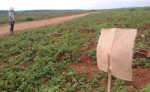 Người dân xã Ia Chim và Công ty TNHH MTV cao su Kon Tum tranh chấp 209,8 ha đất. Ảnh Hoàng Thanh