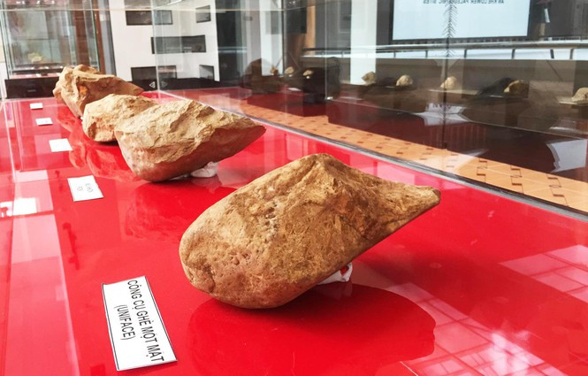 Công cụ ghè một mặt được tìm thấy ở xã An Bình, thị xã An Khê