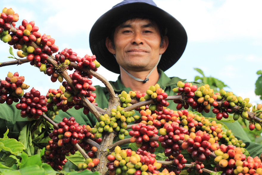 Ông Nguyễn Đức Huề