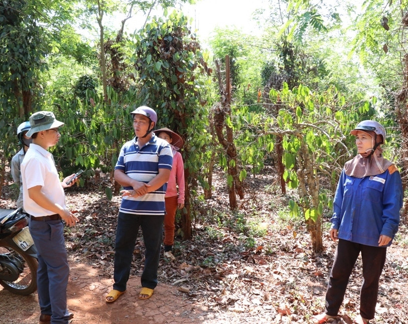 Những hộ dân ở Chư Sê bên phần đất của gia đình quá lâu chưa nhận được bồi thường từ chính quyền cấp huyện