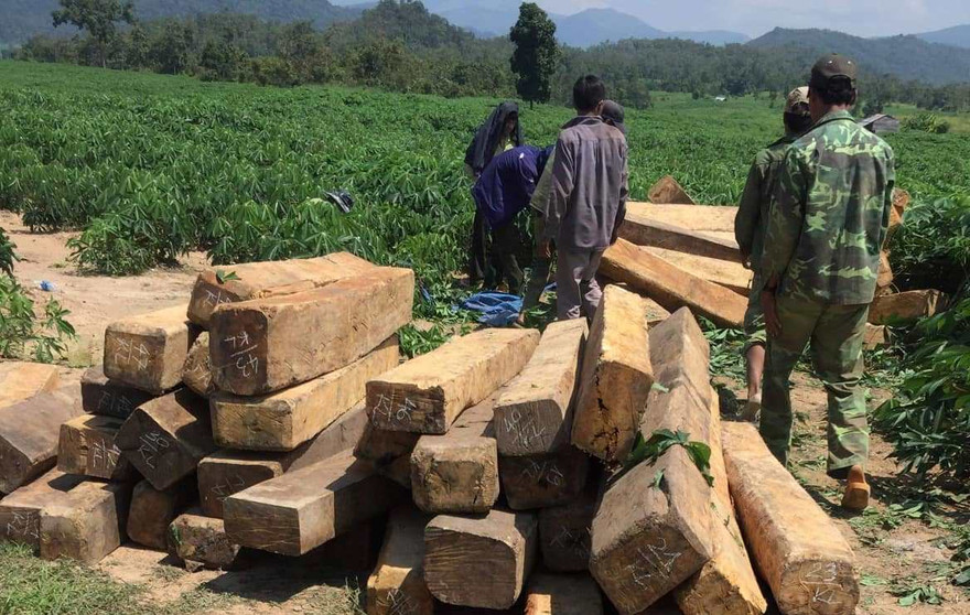 Các đối tượng lâm tặc uy hiếp lực lượng chức năng rồi cướp gỗ tang vật