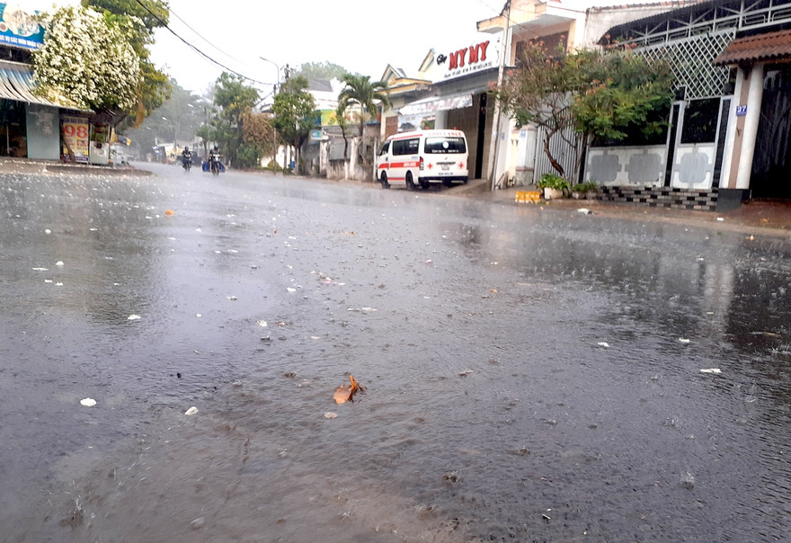 Cơn mưa "vàng" tại Kon Tum