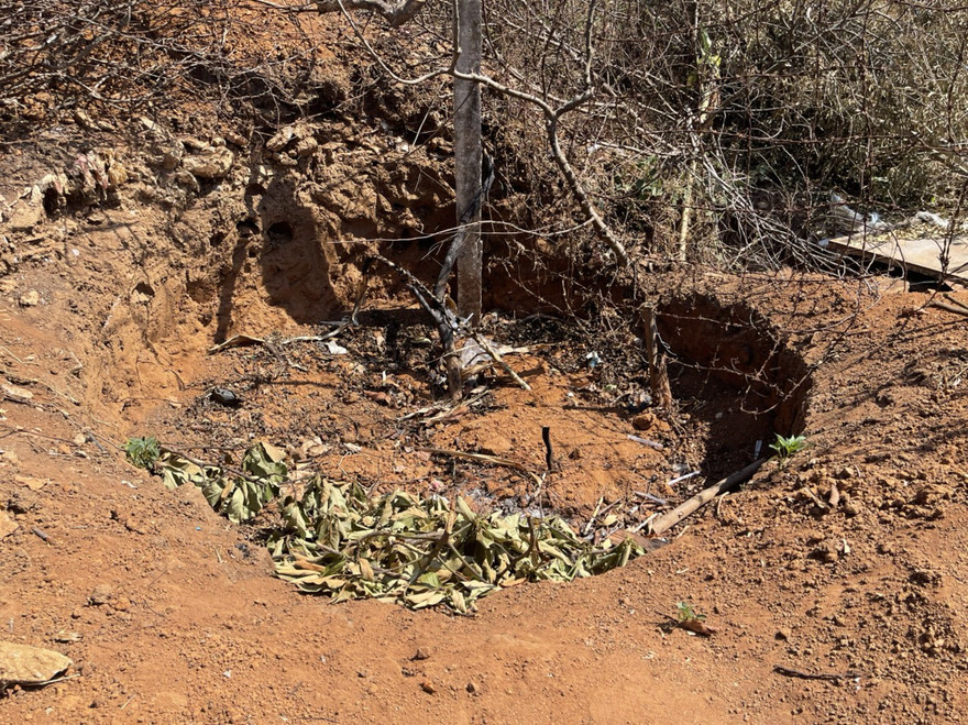 Hiện trường cây khế cổ thụ bị đào bới.