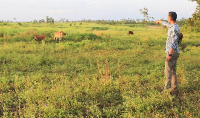 BQL rừng Ayun Pa để mất hơn 551 ha rừng