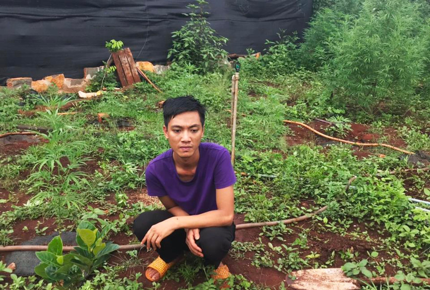 Đối tượng Khoa tại khu vườn trồng cần sa