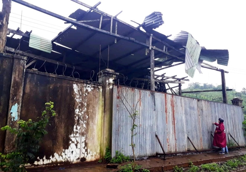 Xưởng gỗ của Công ty TNHH Minh Thành bị bỏ hoang. Ảnh: Hữu Phúc 