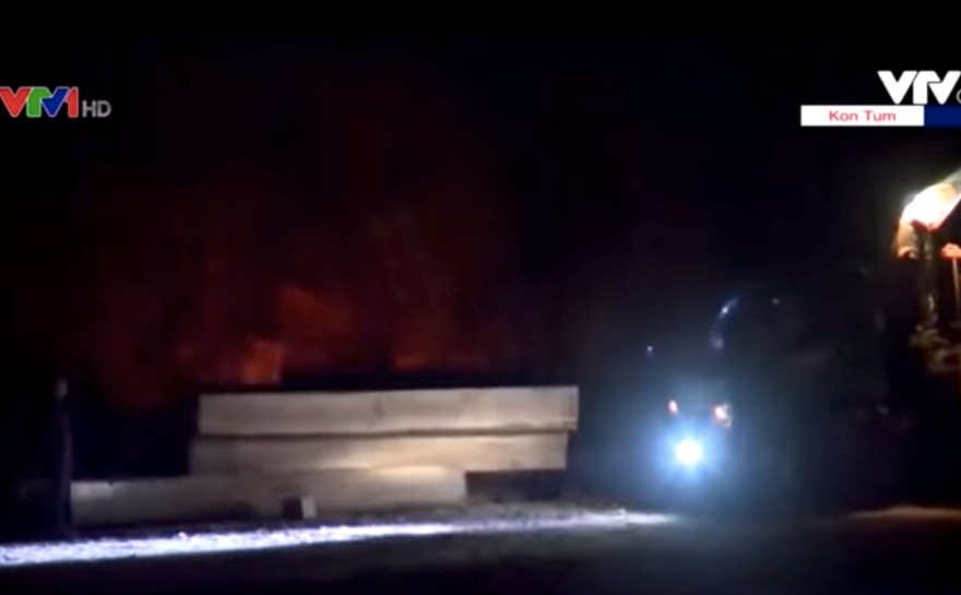 Bãi tập kết gỗ trong phóng sự VTV1 (ảnh VTV)