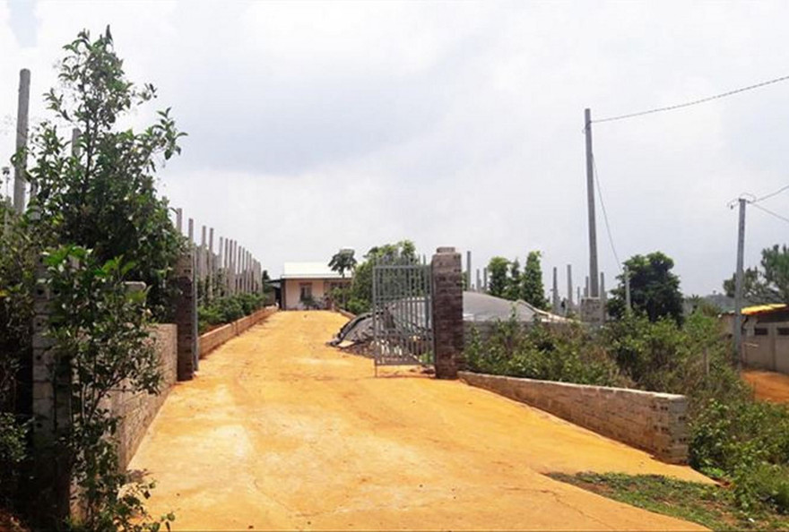 Trang trại của ông Nguyễn Đức