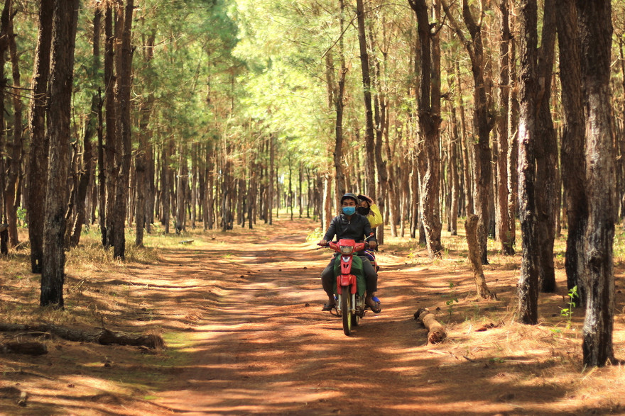 Làm dự án sân golf Đắk Đoa sẽ đổi hơn 174 ha đất rừng