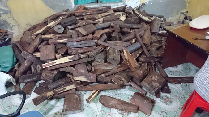 Số lượng gỗ trắc được ước tính hơn 1 tấn.
