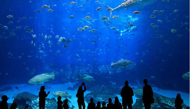 Thả ga 'ăn chơi không sợ mưa rơi' 4 ngày nghỉ lễ 30/4-1/5