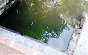 Ảnh minh họa: Internet.